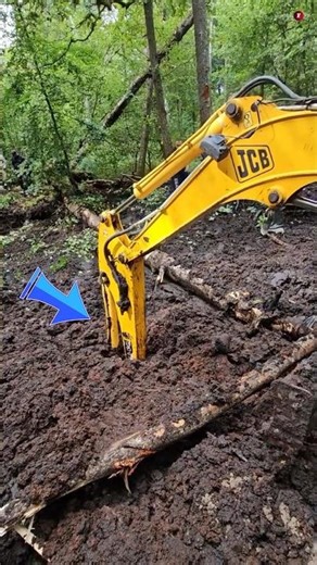 JCB pulled out the object from the swamp