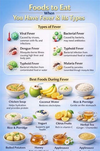 Best Foods to Eat During Fever | Types of Fever Explained #healthylifestyle