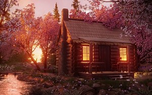 春天的氛围--用于睡眠、放松、专注或冥想的鸟类生活和溪流声音