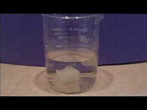 A Visual Demonstration of Dynamic Equilibrium