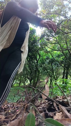 Videos de yessi (@yessi_koki) con “som original - 𝐓𝕦𝐫𝕚𝕤ţ𝐀 Č𝐍 👣”