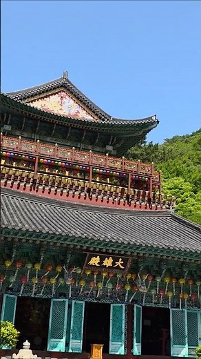 산속 힐링사찰 백천사 전경#사천백천사 #백천사 #사천여행 #사찰여행 #힐링영상 #한국사찰 #전경영상 #감성쇼츠 #산사 #자연힐링 #shorts