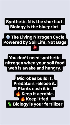 Microbe Herder on Instagram: "💨 The Living Nitrogen Cycle — Powered by Soil Life, Not Bags 💥 1️⃣ Atmospheric N₂ ~75% of air is nitrogen gas — unavailable to plants until microbes fix it. 2️⃣ N₂-fixers Rhizobium, Azotobacter, Azospirillum convert N₂ → organic N. They’re the entry point for new nitrogen in the system. 3️⃣ Plants Trade root exudates for nitrogen compounds. Absorb either nitrate (NO₃⁻) or ammonium (NH₄⁺) depending on species and soil conditions. 4️⃣ Decomposers Bacteria & fungi br