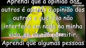 Caderno Mágico de Raquel on Reels