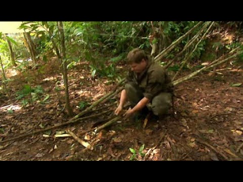 Ray Mears' Bushcraft S01E03 - Jungle Trek