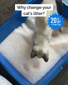 332K views · 1.3K reactions | Need a FRESH start for Spring? Switch to the odor-obliterating, health-monitoring, color-changing PrettyLitter! | PrettyLitter | Facebook