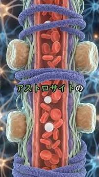 [Blood-Brain Barrier] Even drugs can't get through!? The microscopic wall "BBB" that seals off th...