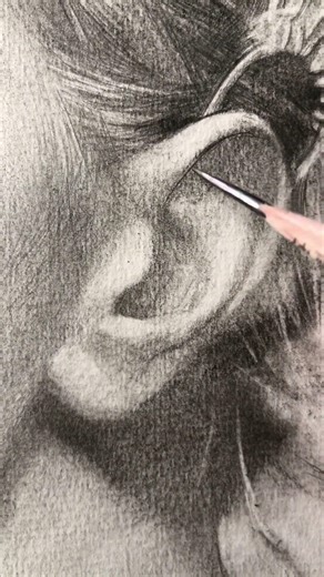 Pencil Drawing | Drawn to Nature and Natural Light