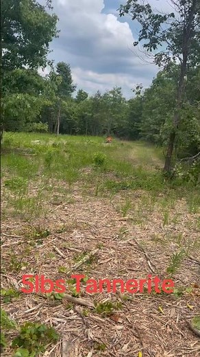 5lbs Tannerite! AR-15! Explosion! Near Death Experience! #tannerite #explosion #neardeathexperience