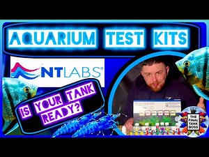 How to Test Aquarium Water (Step-By-Step) — NT Labs Aquarium Lab Kit FULL Guide