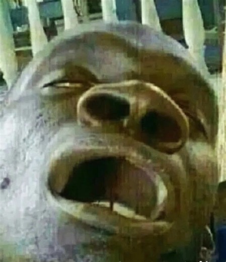 Enjoying a Post-Swim Beach Walk