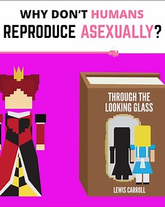 Imagine if humans could reproduce asexually | Life Noggin | Facebook