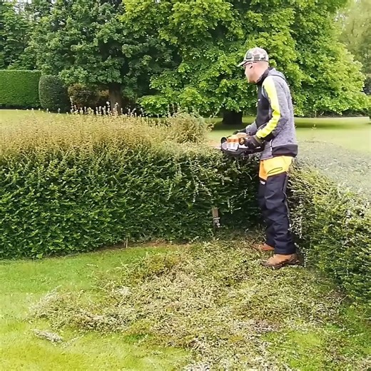 4.3M views · 15K reactions | AMAZING Hedge Recovery_ Trimming An Overgrown FORMAL HEDGE | Kustorez | Facebook