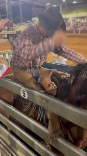 Mastering Saddle Bronc Riding Techniques