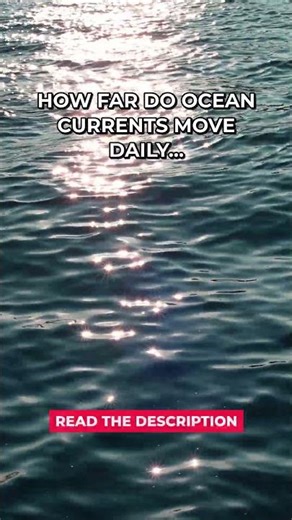 Ocean Currents Move 1000 Km #Shorts
