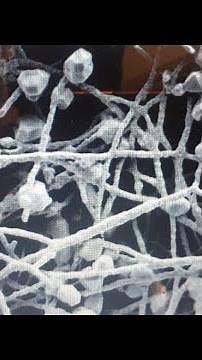 Drying Hydrogels to obtain Aerogels using Supercritical CO2 Drying