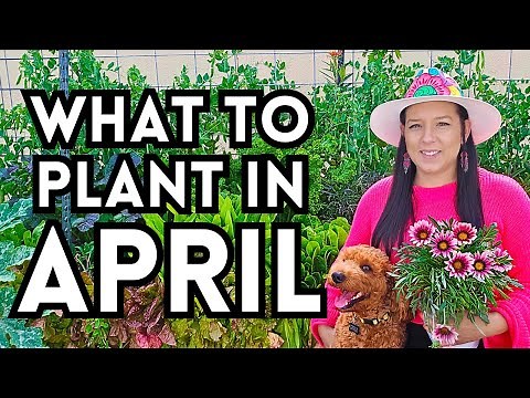 Top 40 Veggies To Plant In APRIL For A Thriving Spring Garden // Garden Planting Inspiration