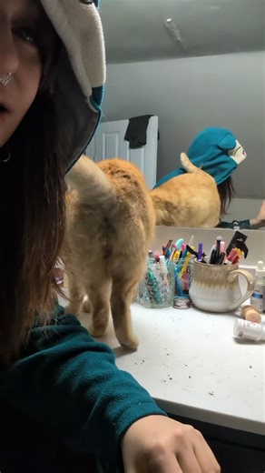 My Cat Learns English: A Cute Interaction