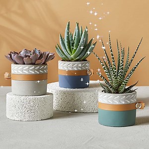 3.1K views | View More ALDI Finds | ALDI USA | Facebook