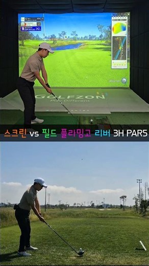 스크린 vs 필드 차이점 | 플라밍고 리버3H