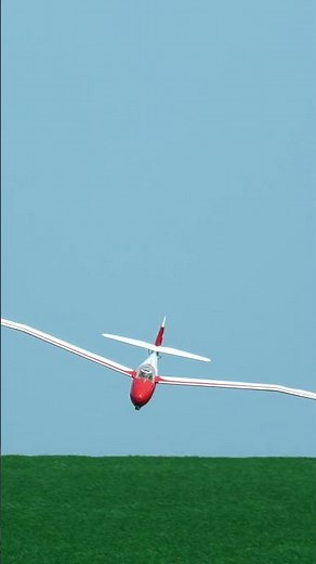 Goppingen Go 3 Minimoa | LANDING CRASH | 3,6m scale RC glider #rcglider #rccrash #aviationcz