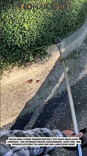 Perfect Edge Trimming with String Trimmer | Clean Lawn Borders Fast