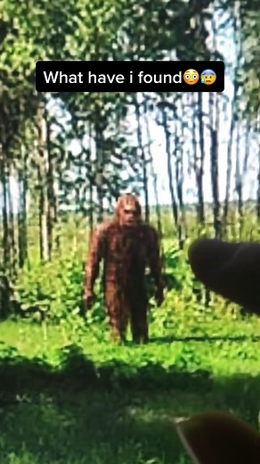 Exploring the Weirdest Places on Google Earth