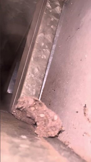 How to Check If Your HVAC Ducts Need Cleaning | Easy DIY Inspection at Home