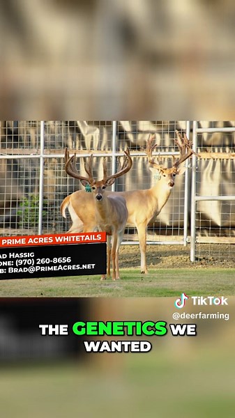 Deer Farmer Updates on Herd Health Progress