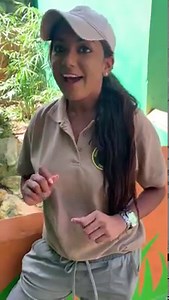 Local 'Matte'! Did you know the Gold Tegu lizard is referred to as Matte in Trinidad and Tobago? Have a look back as Zoological Officer, Sharleen Khan, tells about this reptile species.. #ZooEducation #EmperorValleyZoo 🦎 | Emperor Valley Zoo