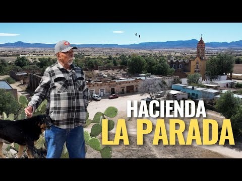 "SE SUBIAN A UN CERRO Y HASTA DONDE ALCANZABAN A VER HERA DE ELLOS"