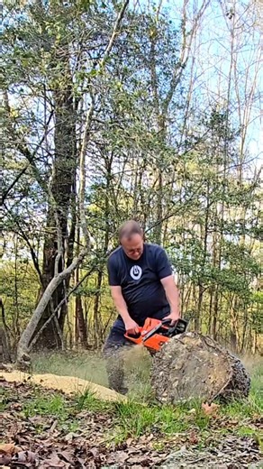 Breakin cuts with the #372x-torq #husqvarna #chainsaw ported and ready for the wood.