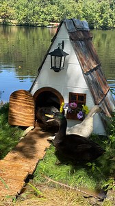 4K views · 168 reactions | When you realize your ducks’ house has better lake views than yours 閭 * * #MoveInDay #HomeSweetHome #RusticLiving #TinyHouseBigViews #LakeDays #FarmLife #DuckHouse #HappyDucks #DuckLife #lakeglenhaven #FeatheredFriends #QuackQuack #DucksofInstagram #PondLife | Lake Glen Haven | Facebook
