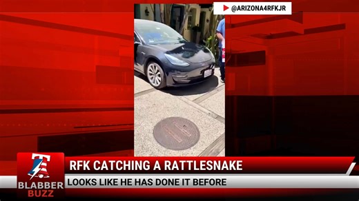 19 reactions · 4 comments | RFK Catching A Rattlesnake | BlabberBuzz | Facebook