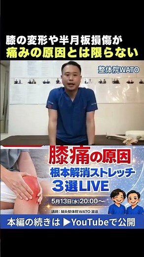変形性膝関節症、半月板損傷が痛みの原因とは限らない理由について！#膝痛 #二子玉川整体 #鍼灸整体院wato #shorts