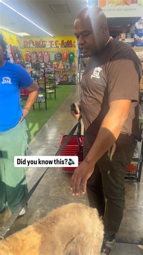 🐾 Did you know? Allergies, fleas, and ticks aren’t just itchy annoyances — they can cause serious skin issues and even lead to infections if untreated! 🐶 Regular checkups, flea prevention, and keeping your pup’s coat clean can make all the difference. Keep your dog happy, healthy, and itch-free! 💚 #DogHealthTips #DawgTeam #FleaAndTickPrevention #AllergyAwareness #HealthyPups | Dawg Team Apparel USA