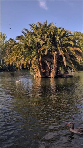Barcelona 🇪🇸 Ciutadella Park