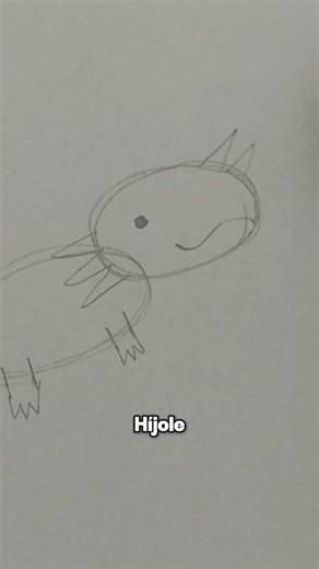 52K views · 3K reactions | Intentando Dibujar un Ajolote #3 Tutorial original: Study with Sol #tutorial #tutorialdibujo #dibujo #dibujar #ajolote #intentandodibujar | Monmo 21 | Facebook