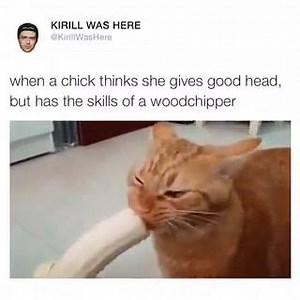 Kirill Was Here on Reels