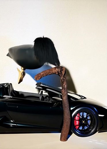 got new whip fam #skebob #memes #скебоб #birds