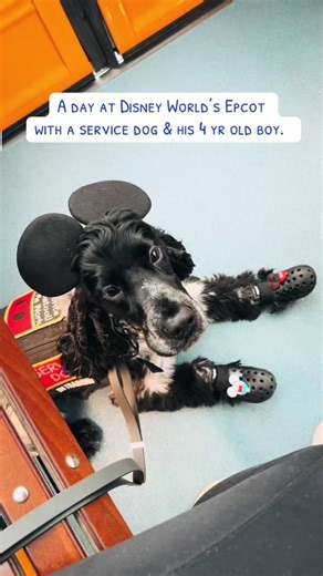 Myles and Double: A Rainy Day at Epcot