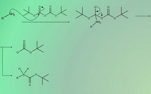有机化学之Boc保护基---Adding Boc Group Mechanism