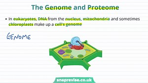 39.Introduction to Protein Synthesis _ A-level Biology _ OCR, AQA, Edexcel