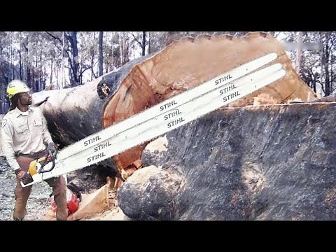 Amazing Dangerous Skills Fastest Big Tree Felling, Extreme Biggest Tree Cutting Down Machines