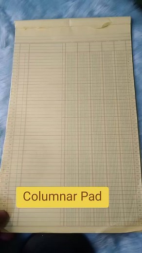 Cómo usar un Pad Columnar en Contabilidad