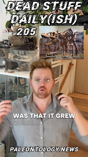 IDigDeadStuff on Instagram: "🚨T REX GROWTH🚨 paleontologists now have new, exciting information about how T. rex grew and how long it lived!￼ 🦖🦖🦖 #paleontology #sciencenews #stem H.N.Woodward et al. 2026. Prolonged growth and extended subadult development in the Tyrannosaurus rex species complex revealed by expanded histological sampling and statistical modeling. PeerJ 14: e20469; doi: 10.7717/peerj.20469"