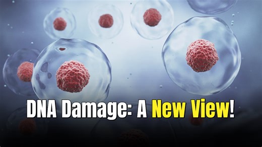 New sensor captures DNA breaks, repair inside living cells in real time