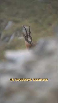 The Shocking Truth Behind Anorexia Nervosa's Extreme Weight Loss