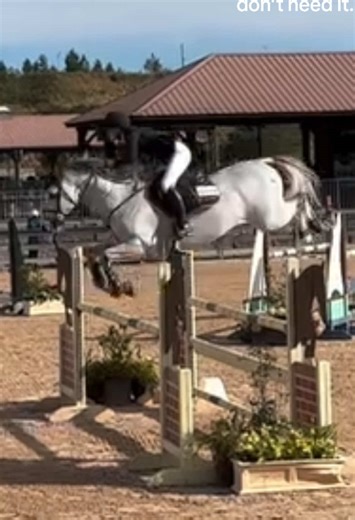 Gmail makes his own heights #jessicaspringsteen #gmailhorse #showjumping #equestrian #overjumper