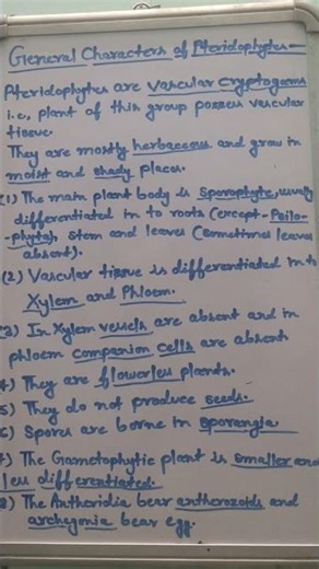 Pteridophytes and it's general characteristics